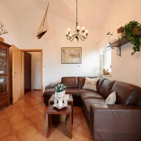 Apartman Amazing טרוגיר